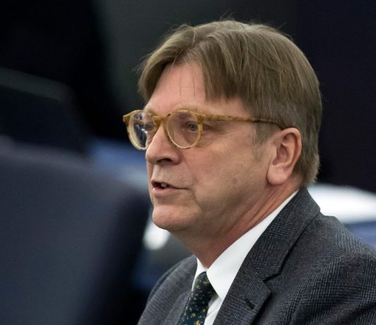 European parliament rejects UK’s Brexit transition proposals