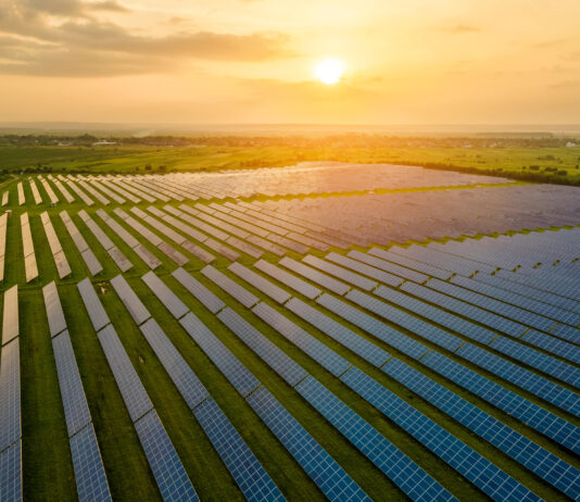 iQuadro shines for experience and professionalism