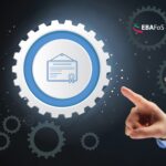 The role of digital skills and knowledge in Europe’s digital decade