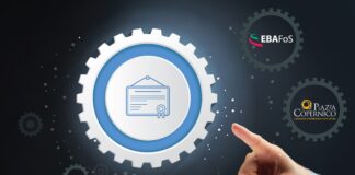 The role of digital skills and knowledge in Europe’s digital decade