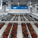 UNITEC, a company with a green heart projected into the future