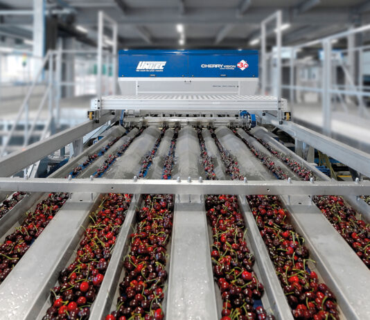 UNITEC, a company with a green heart projected into the future