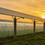 ACN Contract, an innovative company projected towards a more sustainable future