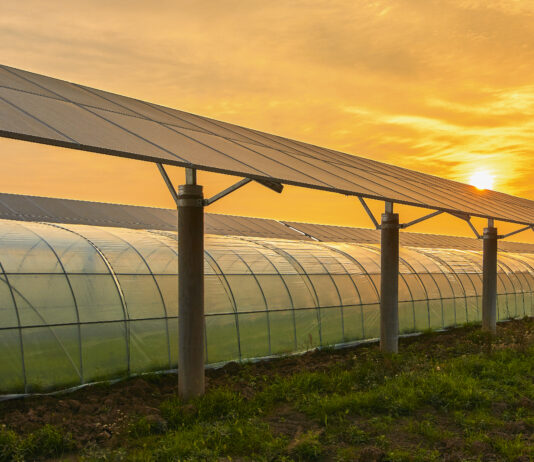 ACN Contract, an innovative company projected towards a more sustainable future