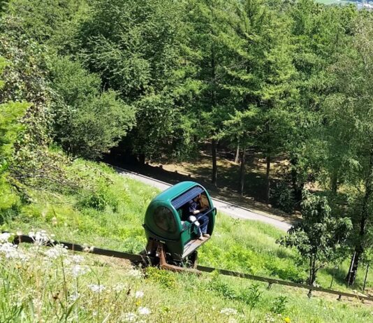 Technological innovation and sustainability, the keys to Neico’s success