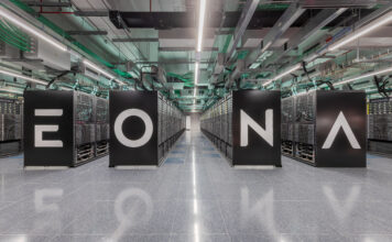 Nesite, a company with a green heart that shines on the market for experience and professionalism