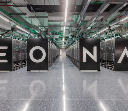 Nesite, a company with a green heart that shines on the market for experience and professionalism