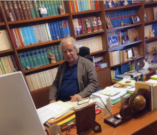 In the dynamism of a globalised world, the Roman Rota continues to be an important reference in the pathologies of the matrimonial institution