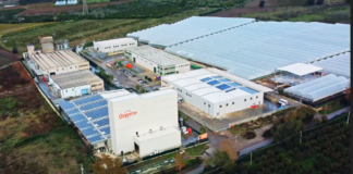 Cennamo S.r.l., Italian pet food conquers international markets and contributes to the relaunch of Made in Italy