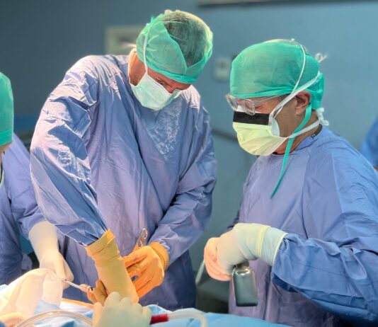 New frontiers in hip prosthetic surgery