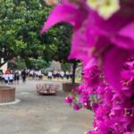 Scuola Paritaria Mery: An Educational Excellence Serving the Community