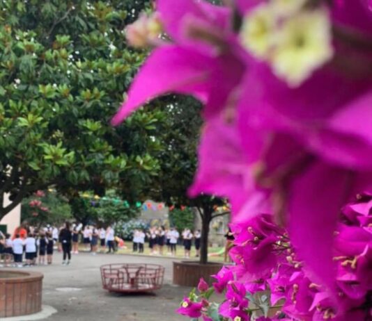 Scuola Paritaria Mery: An Educational Excellence Serving the Community