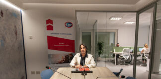 Companies and Resilience: Investing in ISO Certifications and Process Management Can Help Avoid Crisis