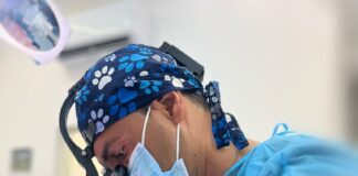 Immediate Load Implantology: “A New Smile in Just One Day? Today It’s Reality”