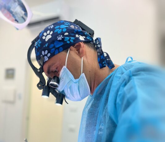 Immediate Load Implantology: “A New Smile in Just One Day? Today It’s Reality”