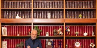 Public-Private Partnership: A Strategic Lever for Reviving Struggling Areas and Industries