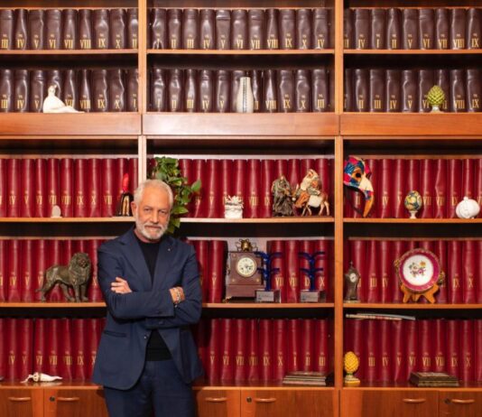 Public-Private Partnership: A Strategic Lever for Reviving Struggling Areas and Industries