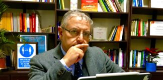 Holistic Vision and Strategic “Cross-Eyed” Focus: The New Coordinates of Governance in Family Businesses