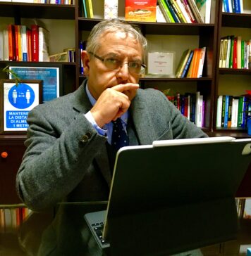 Holistic Vision and Strategic “Cross-Eyed” Focus: The New Coordinates of Governance in Family Businesses