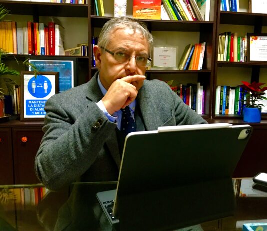 Holistic Vision and Strategic “Cross-Eyed” Focus: The New Coordinates of Governance in Family Businesses