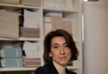 Corporate Criminal Lawyers: Defending in Court and Designing Risk Strategies in a Complex Economy