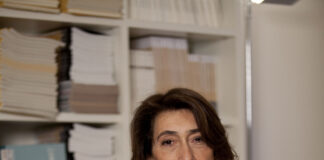 Corporate Criminal Lawyers: Defending in Court and Designing Risk Strategies in a Complex Economy