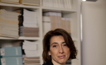 Corporate Criminal Lawyers: Defending in Court and Designing Risk Strategies in a Complex Economy
