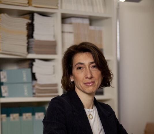 Corporate Criminal Lawyers: Defending in Court and Designing Risk Strategies in a Complex Economy
